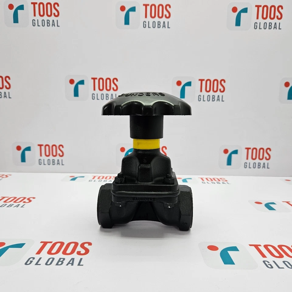 Válvula de diafragma Saunders serie CPFTI PN-16 DP-5 JS1040 A032 SV1 NUEVO Foto 3 de 4