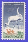 VTG 1957 WHOOPING CRANES STAMP WILDLIFE CONSERVATION 3c POSTAGE BIRDS CHICKS MNH