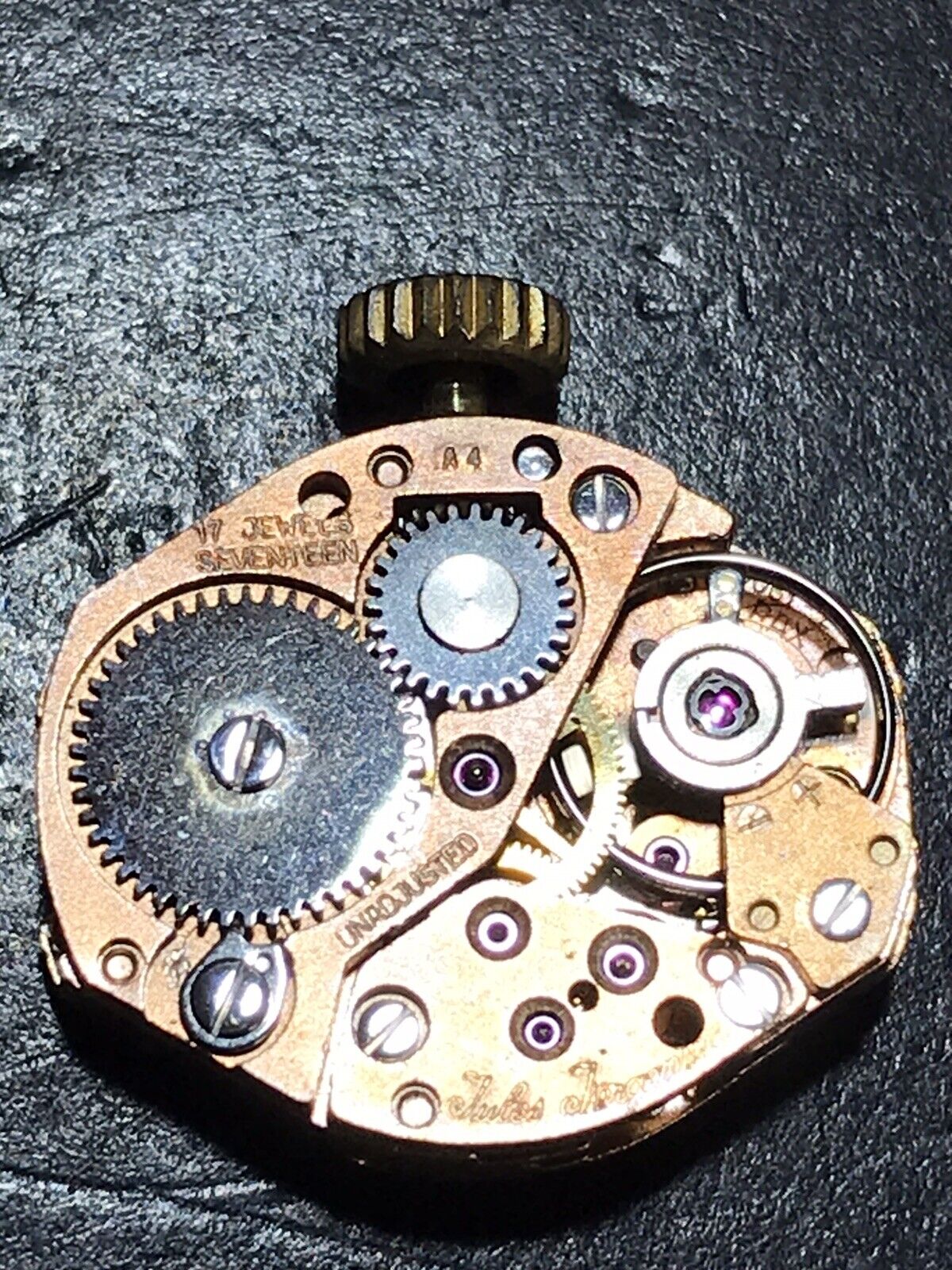 Picture 4 of 12