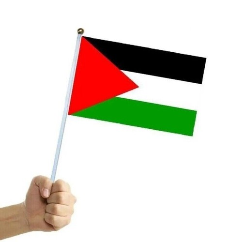 Large Palestine Flag 150*90 Handheld Mini Flag Palestine Neck Shawl BUNDLE PACK - Picture 6 of 7