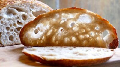 sourdough yeast THE BEAST 16 yeast in 1 starter amazing   bonanza