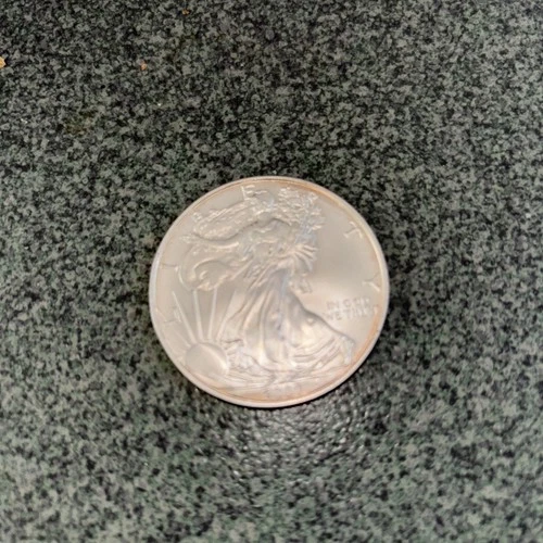 2007 Walking Liberty American Eagle 1 Oz. .999 Fine Silver One Dollar Coin Toned