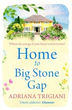 Home to Big Stone Gap by Adriana Trigiani (Paperback Book)