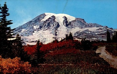 MOUNT RAINIER, PARADISE VALLEY, Arlington, Washington, West Nyack, Postcard