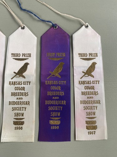 Lot of 5 Vintage Bird Show Award Ribbons Kansas City MO 1950s Color Breeders - Bild 3 von 6