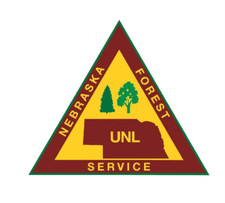4" nebraska forest service unl bumper sticker decal usa made
