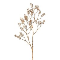 artplants Deko Zweig Hartriegel Klomer Mit Knospen, Braun, 120Cm