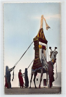 Mauritania - Moorish wedding - The palanquin - Publ. Robel 1769 - - Mauritanie -