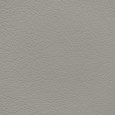 Chrysler/Dodge/Jeep/Plymouth Light Greystone Leather Dye