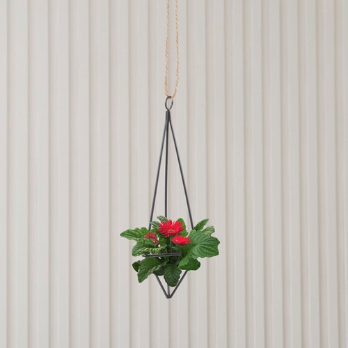 4 Pcs Hanging Flower Stand Plant Hangers for Air Plants Container - Picture 6 of 12