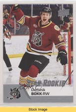 2020-21 Upper Deck AHL Star Rookies Dominik Bokk #188 READ 1a9z