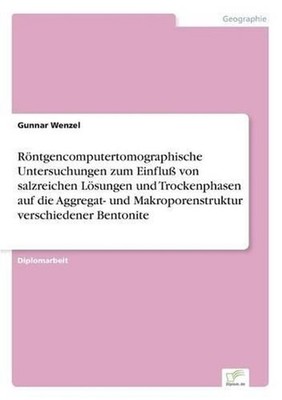 Rntgencomputertomographische Untersuchungen zum Einflu von salzreichen Lsungen u