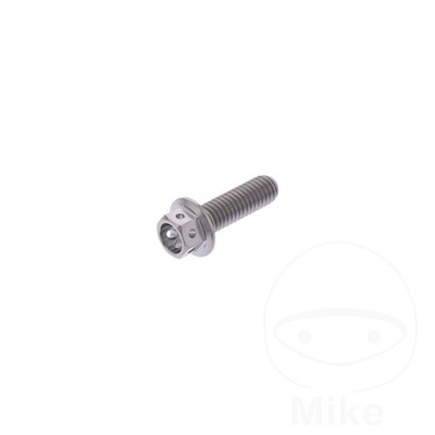 JMP Sechskantschraube M6X1,00mm 20mm Titan Racing passend für Aprilia RS4 50 2011-2021