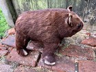 Bild 5 von 7