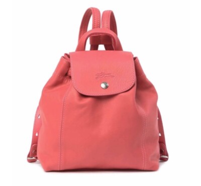 le pliage mini backpack