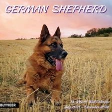 2025-2026 Wall Calendar, GERMAN SHEPHERD,  12" x 24" Open, for Dogs Lovers