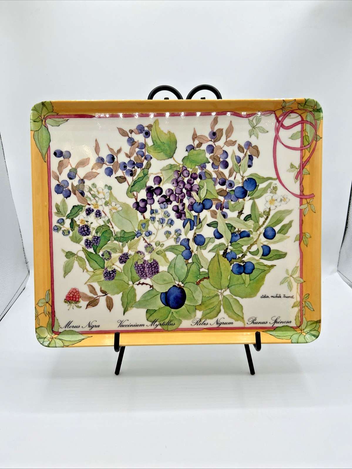 Tray Atelier Michele Trumel Design Imports Melamine Italy 10" x 12" Berry #6