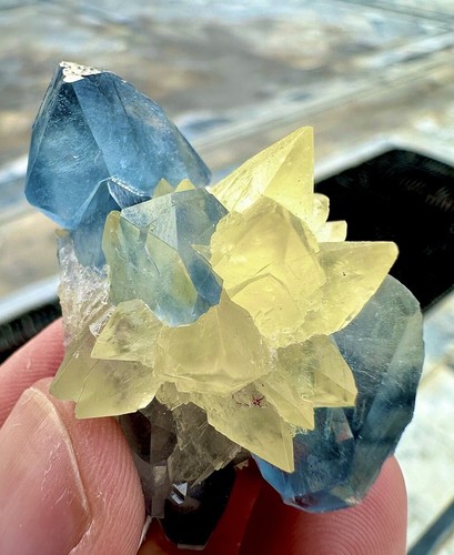 Celestino 225 CTS combinazione blu cielo con esemplare di calcite dall'Afghanistan - Foto 4 di 5