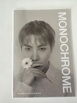 BTS MONOCHROME キャンバスフォト J-HOPE s-l400.jpg