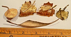 19 Vintage Pins of Leaves & Flowers; Enamel, Gold Plate, +; See Closeups; Ages? — photo 7