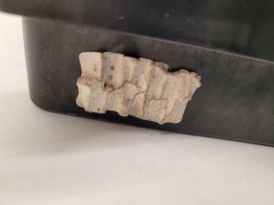 2004 2005 2006 2007 2008 CHEVROLET AVEO Fuse Box Engine Ntbk  - Image 4 of 4