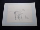 1930 Toulouse-Lautrec Print / Un Petit Cob Et Un Fox Terrier, or, Horse & Fox
