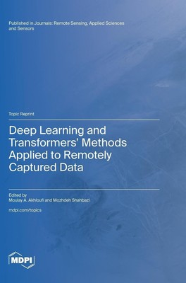 Deep Learning and Transformers' Methods Applied to Remotely Captured Data | Buch