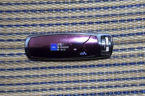 Sony Walkman NW-S705F Digital Audio Player 2GB Used F/S