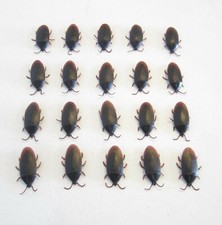 20 REALISTIC FAKE COCKROACHES LARGE CREEPY COCK ROACH BUGS PRANK GAG GIFT