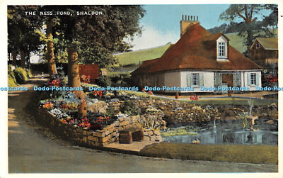 R430515 The Ness Pond Shaldon The Studio