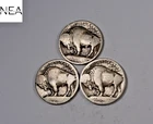 1913+1913-D+1913-S Buffalo Nickel Set/Lot ~ Type 1 ~ ZBL73