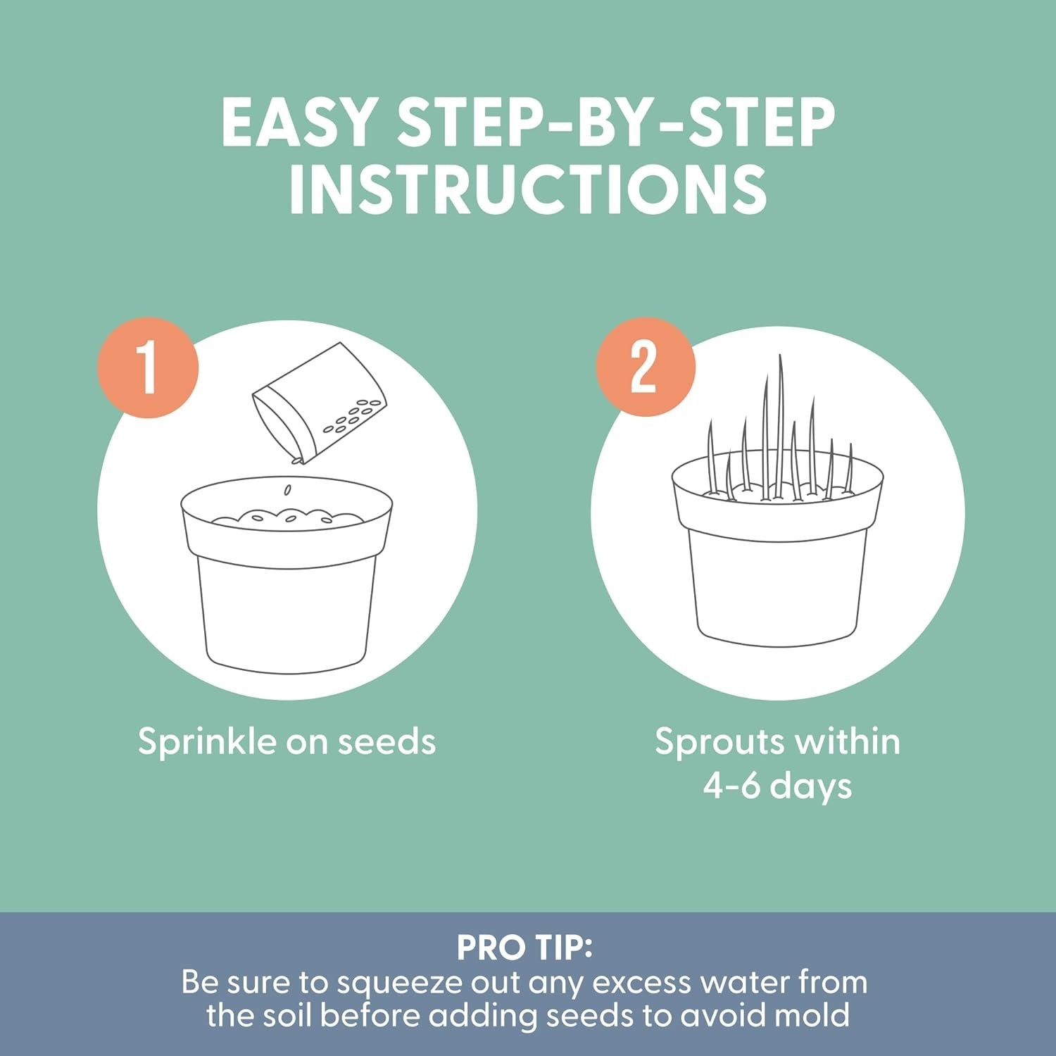 Non-GMO Indoor Cat Grass Seeds - Superfood Blend of Wheat, Rye & Barley (8 oz)