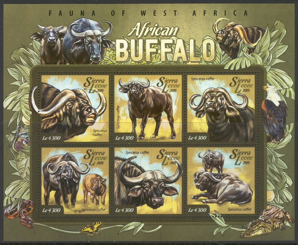 STC706 Sierra Leone 2015 MNH Sheet High CV Wild Animals Buffalo | eBay