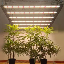 Foldable 450W Led Grow Light Full Spectrum Dimmable Commercial Indoor Veg Bloom