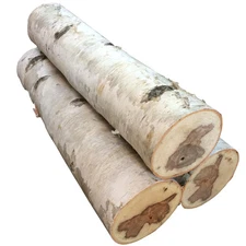 Large White Birch Fireplace Log Set of Three