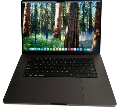 Apple MacBook Pro 2023 16 Inch M3 Max 16-Core 1TB SSD 48GB RAM 40C GPU A2991