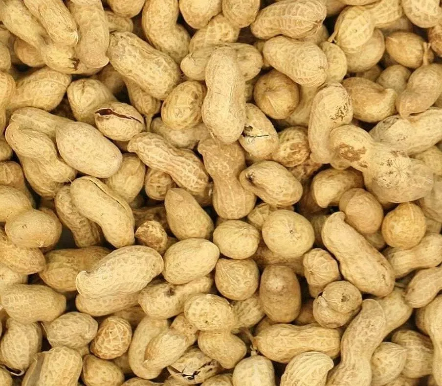 Monkey nuts on sale