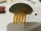 Antique  Misc. ladies hair combs 10 pc — photo 3