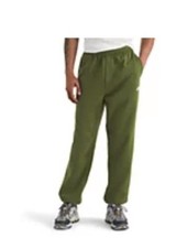 The North Face Men's Evolution Simple Dome Pants Size L Woodland Green