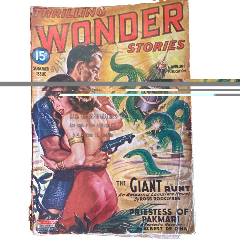 Thrilling Wonder Stories Summer Sci-Fi English Ross Rocklynne Albert de Pina