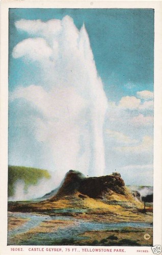 Postcard Wyoming Yellowstone Castle Geyser 1920's-30s Haynes MINT - 第 1/1 張圖片