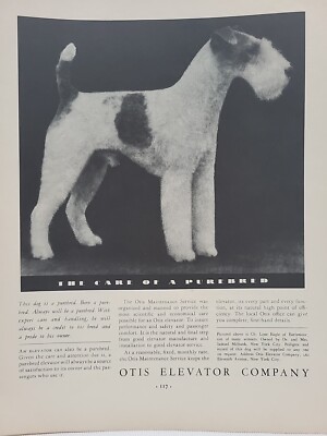 1934 Otis Elevator Fortune Magazine Print Advertising Terrier Purebred