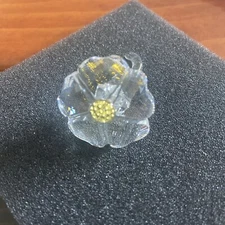 Swarovski 2017 Crystal SCS Wild Flower Figurine # 5244642 MIB Complete