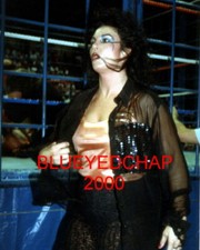 SHERRI MARTEL WRESTLER 8 X 10 WRESTLING PHOTO WWF AWA WCW