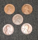 1915 16 17 18 19 Denver mint Lincoln Wheat Cent Penny Set