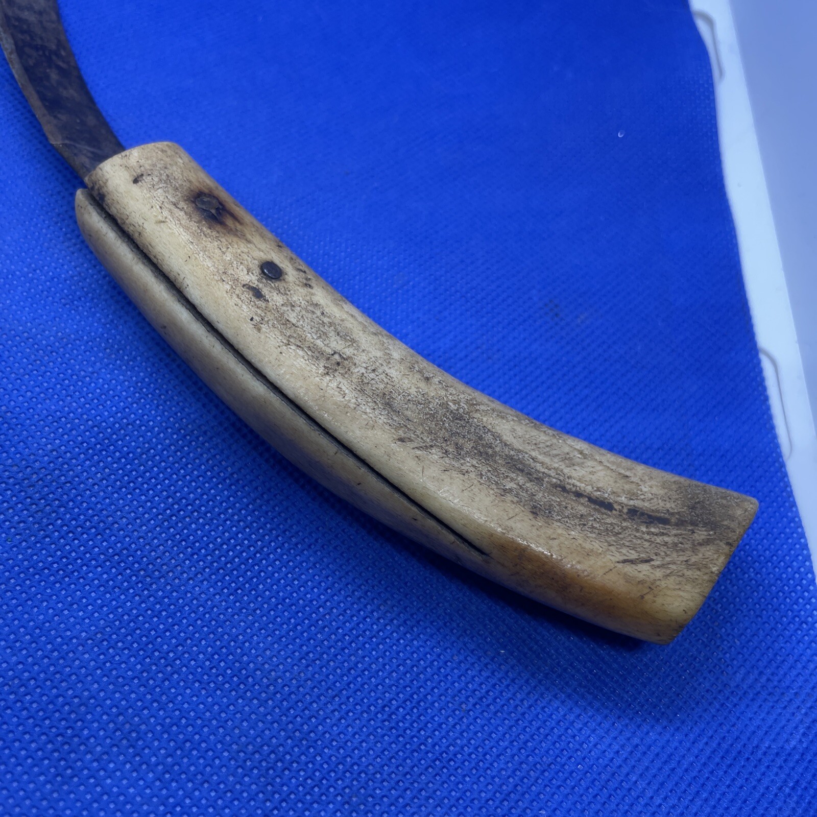Vintage Knife Bone Handle ? eBay