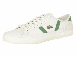 lacoste sideline 119