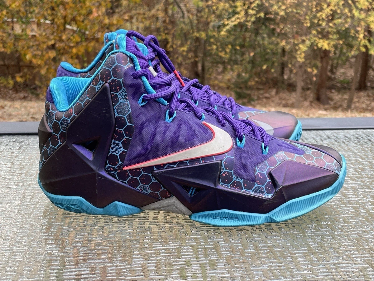 Lebron clearance 10 hornets