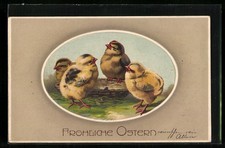 Ansichtskarte Osterküken sitzen am Osternest...
