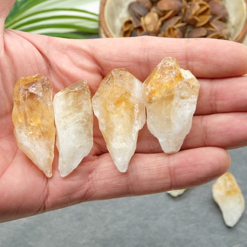 Citrine Point Rough Yellow Crystal Raw Mineral Stone Healing Chakra 4-6cm x 1 - Picture 7 of 7